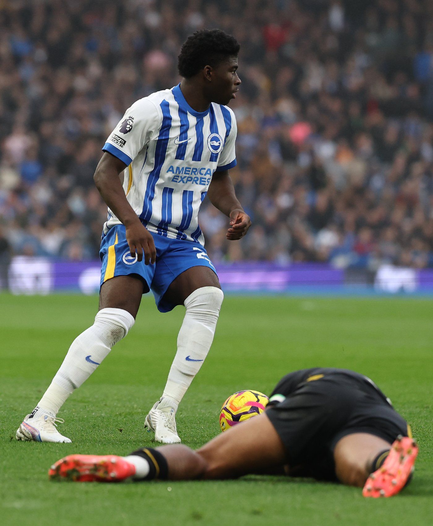 Carlos with the ball at his feet looking for a pass as a Wolves players lies in the foreground. Keep pushing, Albion!