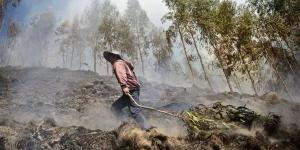 موعد انطلاق مؤتمر تغير المناخ COP29 في باكو بأذربيجان - أخبار كلمتك