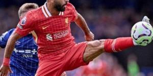 موعد مباراة ليفربول ضد بولونيا في دوري أبطال أوروبا والقنوات الناقلة والمعلق - أخبار كلمتك