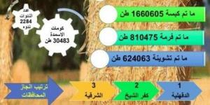 «الزراعة»: حصاد 99% من المساحات المنزرعة بمحصول الأرز - أخبار كلمتك