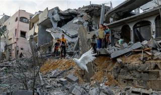 إسرائيل تمنع إمدادات الأمم المتحدة الغذائية لسكان غزة