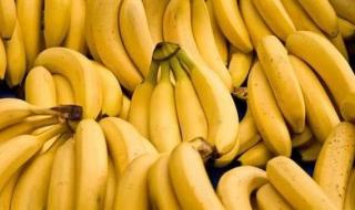 الموز يبدأ من 7 جنيهات، وهذه أسعار الفاكهة في سوق العبور اليوم