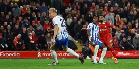 محمد صلاح يقود ليفربول للفوز على برايتون 2-1 وتصدر الدوري الإنجليزي (فيديو وصور) - أخبار كلمتك