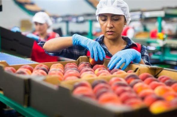 التصديري للصناعات الغذائية: إجراءات جديدة لدخول الشاحنات الأجنبية إلى السعودية بداية أبريل المقبل
