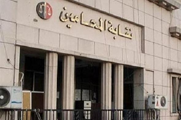 «المحامين»: لم يصدر أي أحكام تتعلق بالانتخابات من محكمة القضاء الإداري