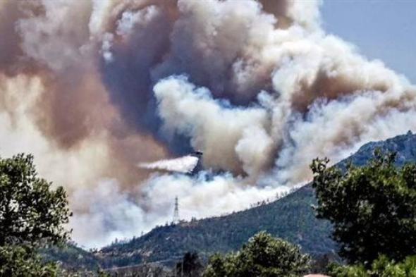 الرياح تشعل حريق الغابات على مشارف أثينا