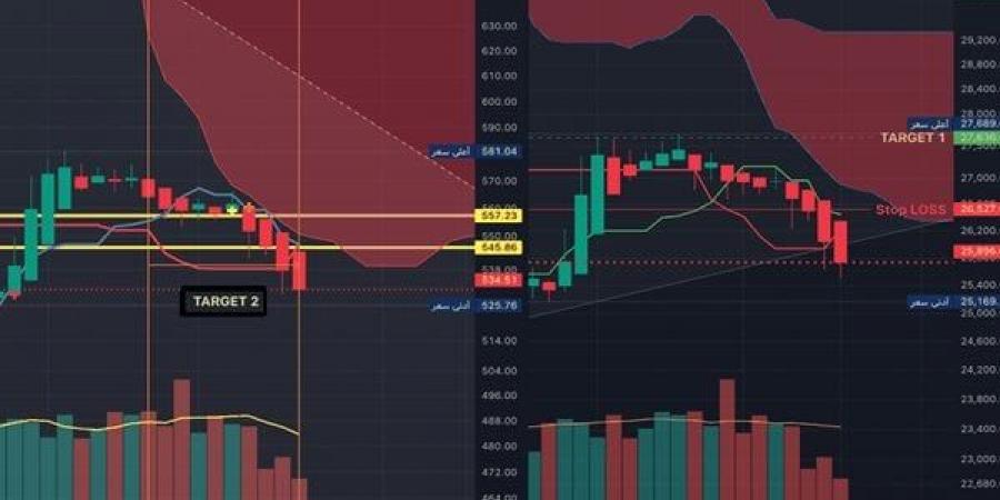 خبيرة أسواق مال تكشف تأثير تثبيت المركزي لأسعار الفائدة على أداء البورصة