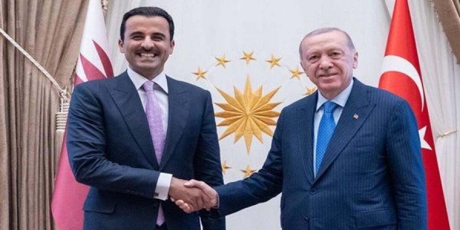 أمير قطر: لقائي بأردوغان في إطار مساعينا لوقف الحرب على غزة - أخبار كلمتك