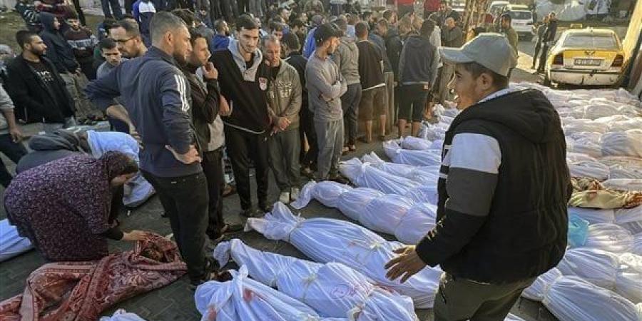 استشهاد 4 فلسطينيين بينهم صحفي وشقيقته في قصف قوات الاحتلال مخيم النصيرات وجنين - أخبار كلمتك