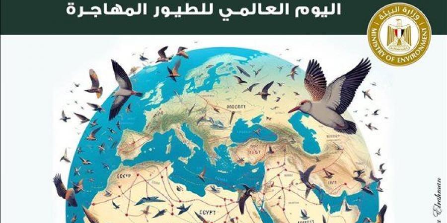 مصر تشارك في الاحتفال باليوم العالمي للطيور المهاجرة - أخبار كلمتك