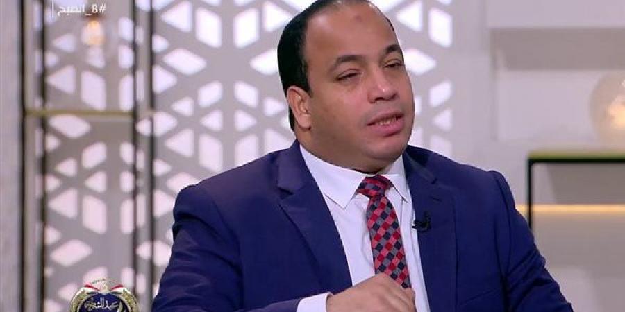 عبد المنعم السيد: مصر تعاني من عشوائية الاستيراد وخاصة السلع الترفيهية والاستفزازية - أخبار كلمتك