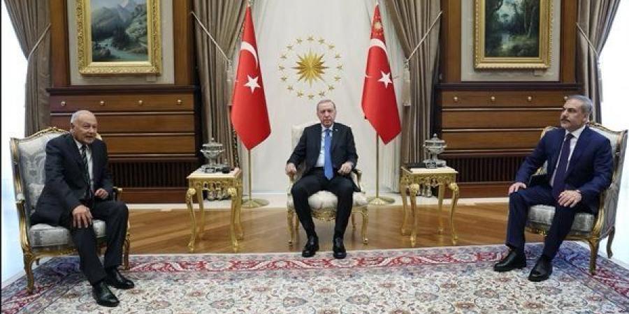 أبو الغيط يلتقى أردوغان ويؤكد تقديره لمواقف أنقرة الداعمة لفلسطين ولبنان - أخبار كلمتك