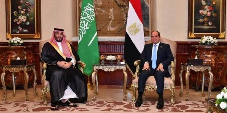 البخشوان: زيادة حجم التبادل التجاري المصري - السعودي بعد زيارة بن سلمان - أخبار كلمتك