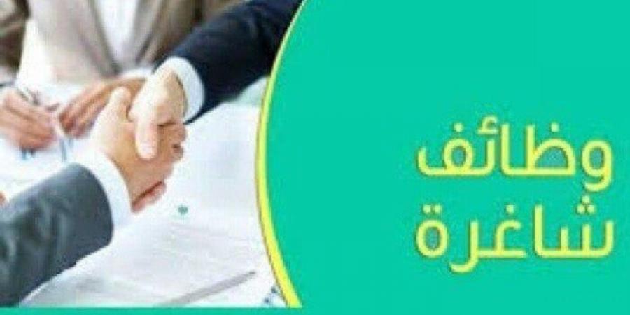 الرياضة -   06:29  - محافظة الجيزة تعلن عن وظائف خالية.. الشروط والأوراق المطلوبة - أخبار كلمتك