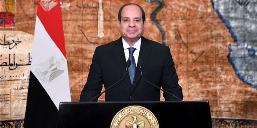 السيسي يكشف مجالات التعاون بين مصر وإستونيا - أخبار كلمتك